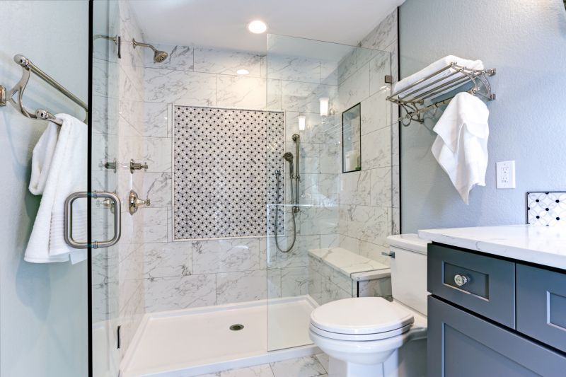 Elegant Shower Upgrade