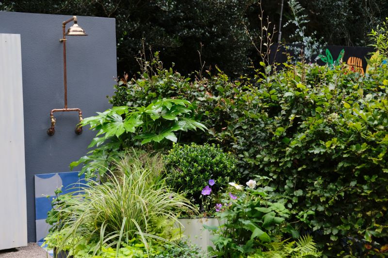 Installation in Spring